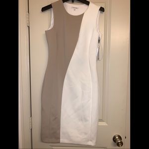 Calvin Klein Dress